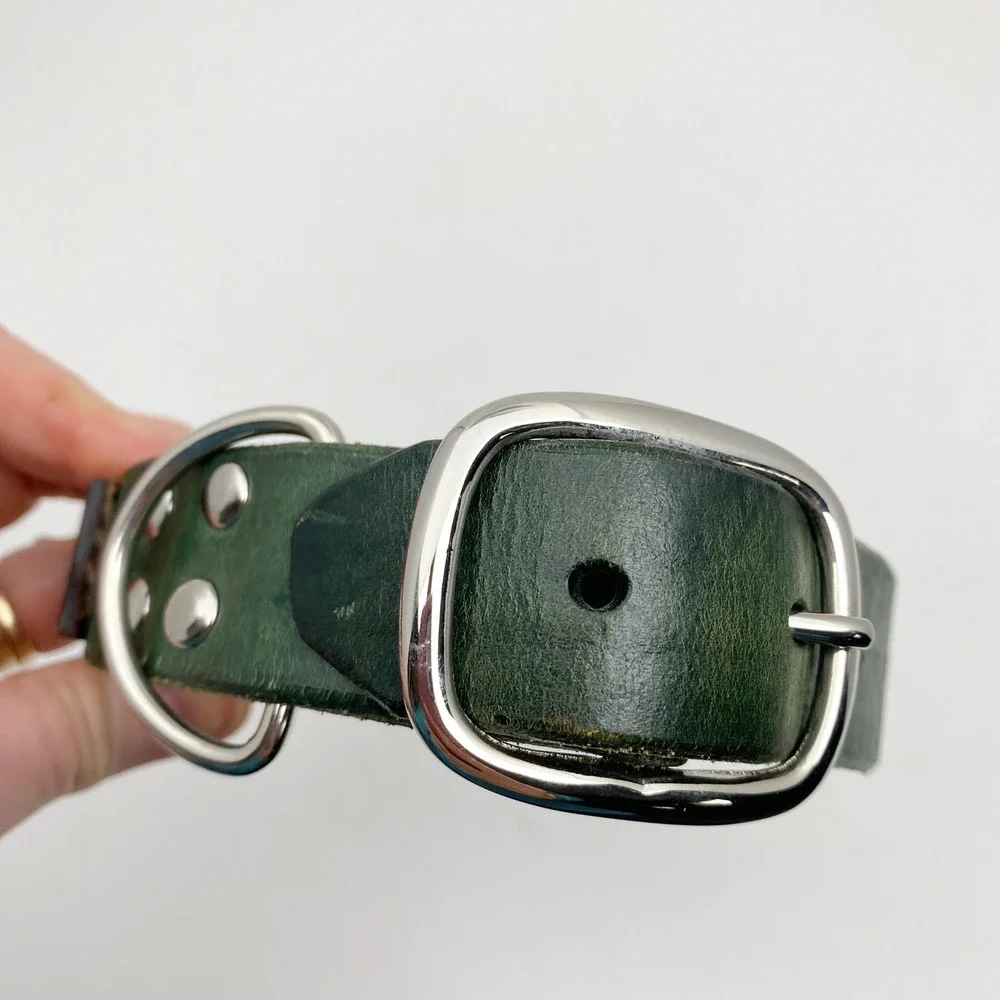 Tooled Leather Celtic Dog Medallion Dog Collar Tan‎ Green Silver